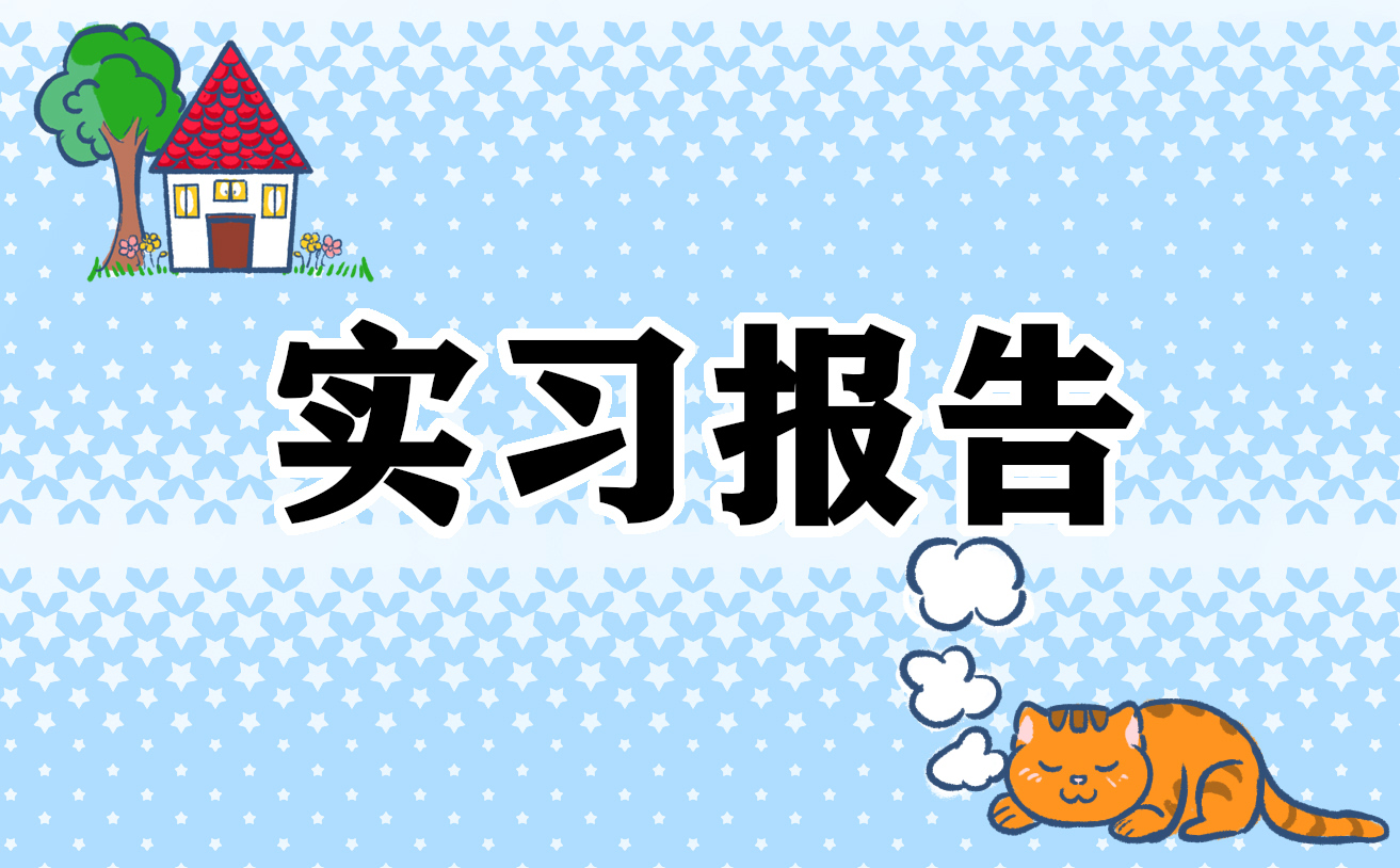 电子商务实习报告总结范文500字