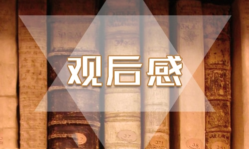 《榜样》观后感800字2023最新